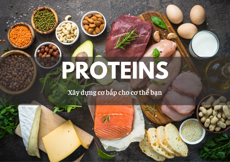 Protein thực phẩm