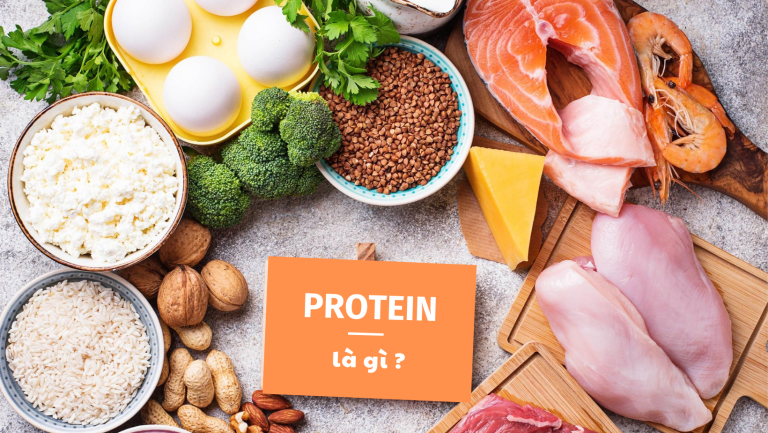 Protein là gì ?