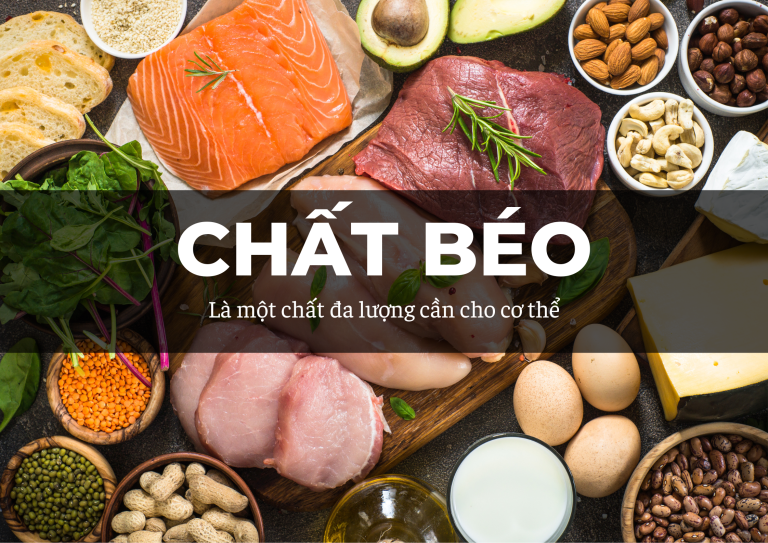 Chất béo