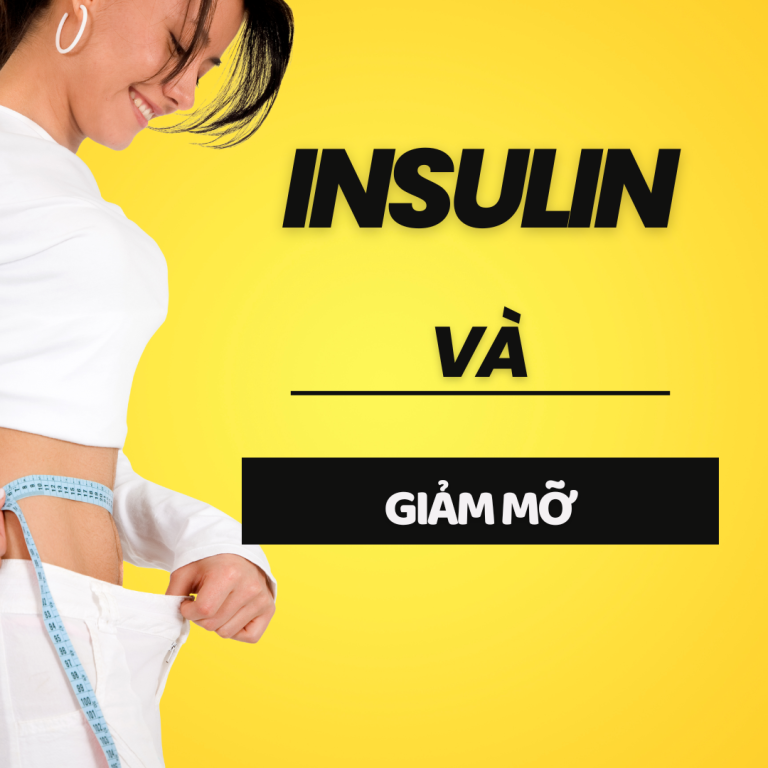 Insulin và giảm béo